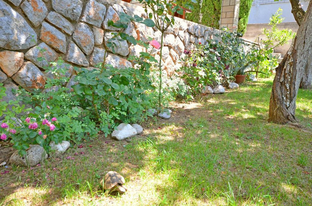 Apartments Ivanka Senj  Dış mekan fotoğraf